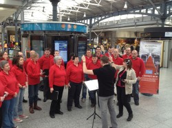 Glória singing in Heuston Station on Monday 29th April 2013